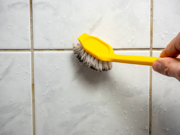 Best DIY Mold Remediation Support Services in Westmoreland, TN