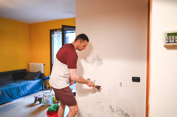 Best Insurance-Related Mold Remediation in Westmoreland, TN